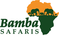 Bamba Safaris